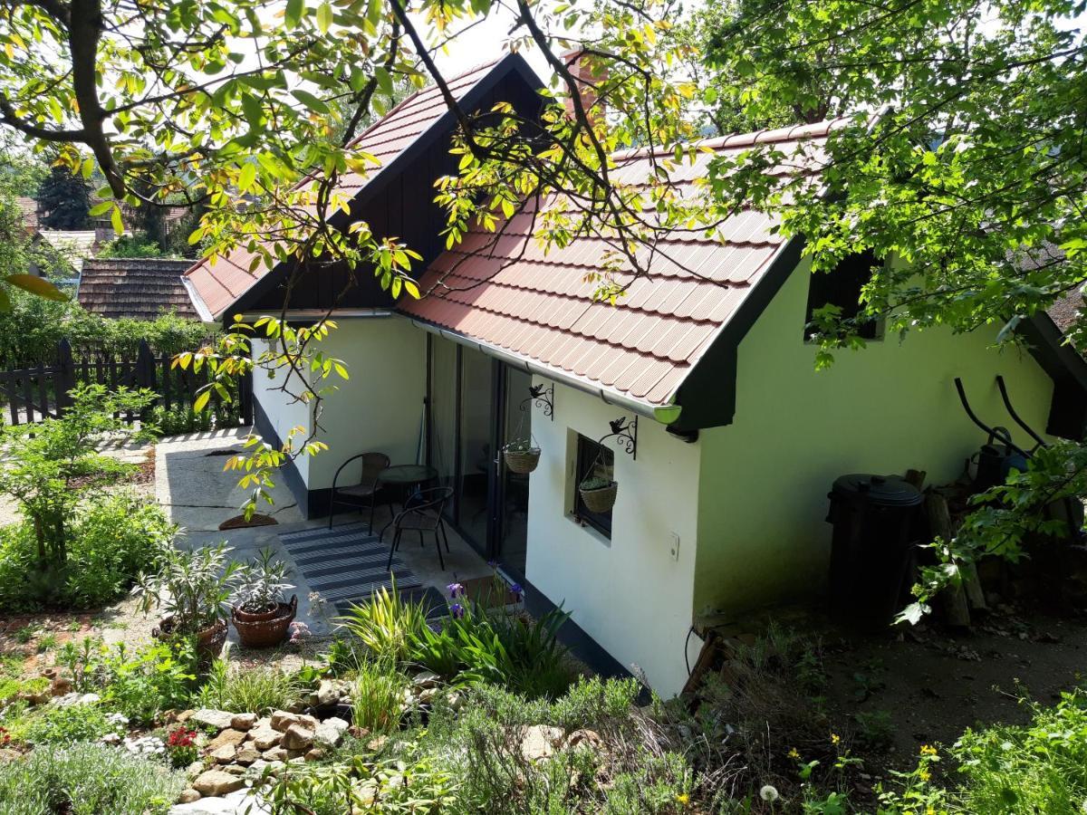 Kismadar Vendeghaz Noszvaj Apartamento Exterior foto