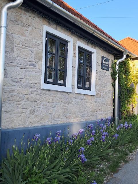 Kismadar Vendeghaz Noszvaj Apartamento Exterior foto